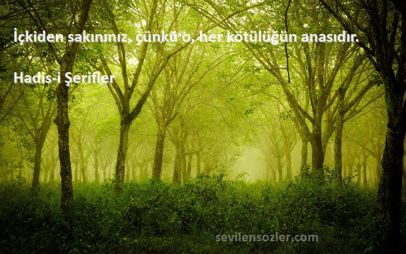 Hadis-i Şerifler - İçkiden sakınınız, çünkü o, her kötülüğün anasıdır.
