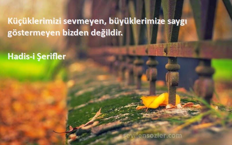 Hadis-i Şerifler - Küçüklerimizi sevmeyen, büyüklerimize saygı göstermeyen bizden değildir.
