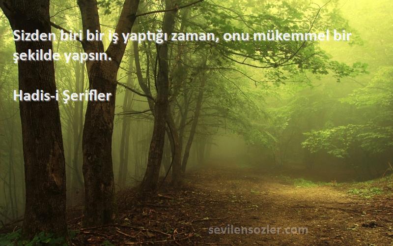 Hadis-i Şerifler - Sizden biri bir iş yaptığı zaman, onu mükemmel bir şekilde yapsın.
