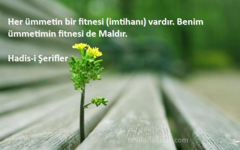 Hadis-i Şerifler - Her ümmetin bir fitnesi (imtihanı) vardır. Benim ümmetimin fitnesi de Maldır.
