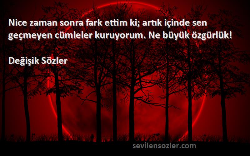 Değişik Sözler - Nice zaman sonra fark ettim ki; artık içinde sen geçmeyen cümleler kuruyorum. Ne büyük özgürlük!
