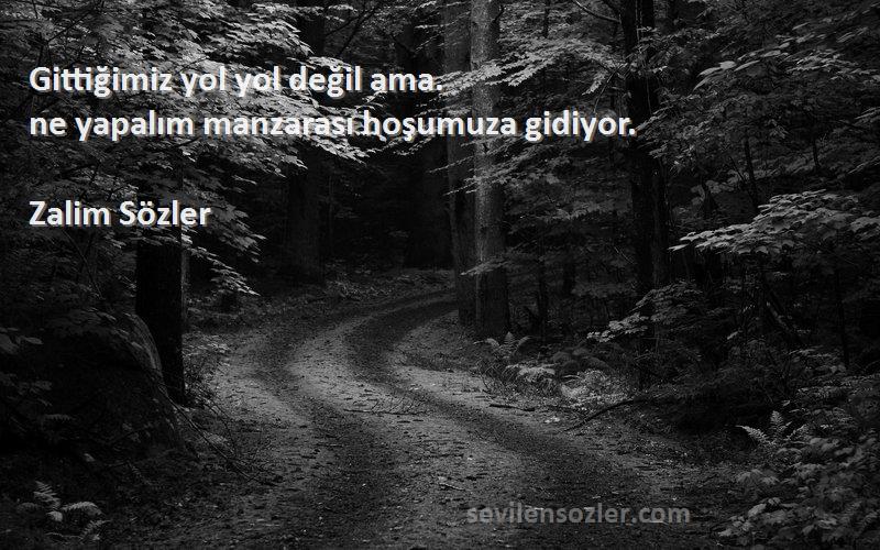 Zalim Sözler - Gittiğimiz yol yol değil ama.
ne yapalım manzarası hoşumuza gidiyor.
