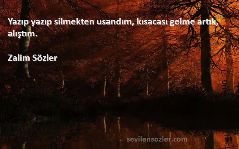 Zalim Sözler - Yazıp yazıp silmekten usandım, kısacası gelme artık, alıştım.
