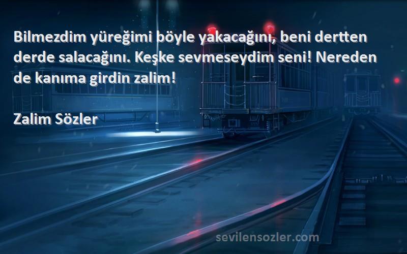 Zalim Sözler Sözleri 
Bilmezdim yüreğimi böyle yakacağını, beni dertten derde salacağını. Keşke sevmeseydim seni! Nereden de kanıma girdin zalim!
