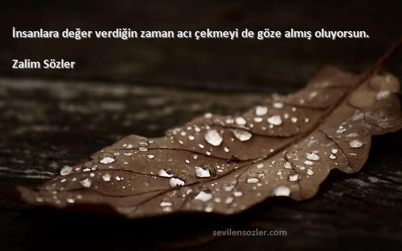 Zalim Sözler - İnsanlara değer verdiğin zaman acı çekmeyi de göze almış oluyorsun.
