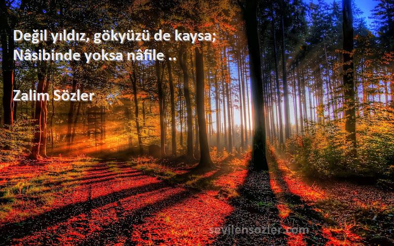 Zalim Sözler Sözleri 
Değil yıldız, gökyüzü de kaysa;
Nâsibinde yoksa nâfile ..
