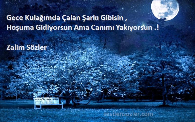 Zalim Sözler - Gece Kulağımda Çalan Şarkı Gibisin ,
Hoşuma Gidiyorsun Ama Canımı Yakıyorsun .!
