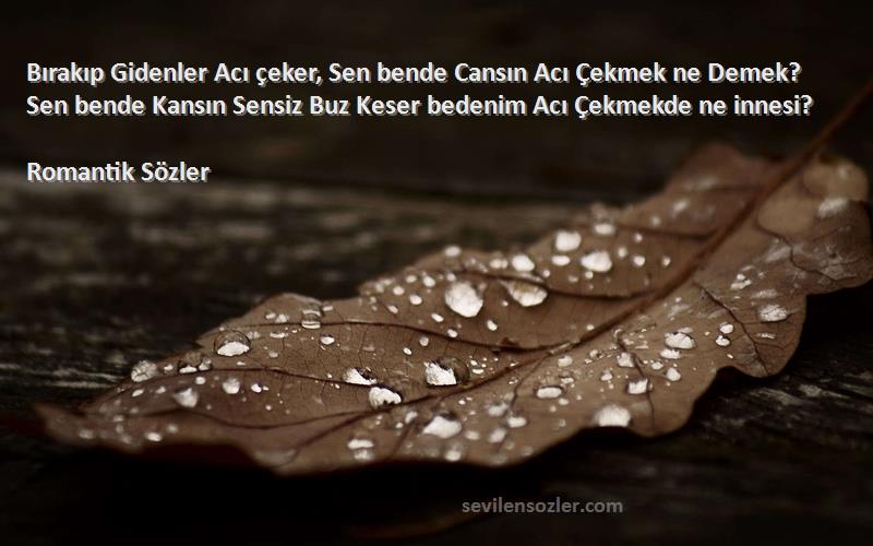 Romantik Sözler Sözleri 
Bırakıp Gidenler Acı çeker, Sen bende Cansın Acı Çekmek ne Demek? Sen bende Kansın Sensiz Buz Keser bedenim Acı Çekmekde ne innesi?
