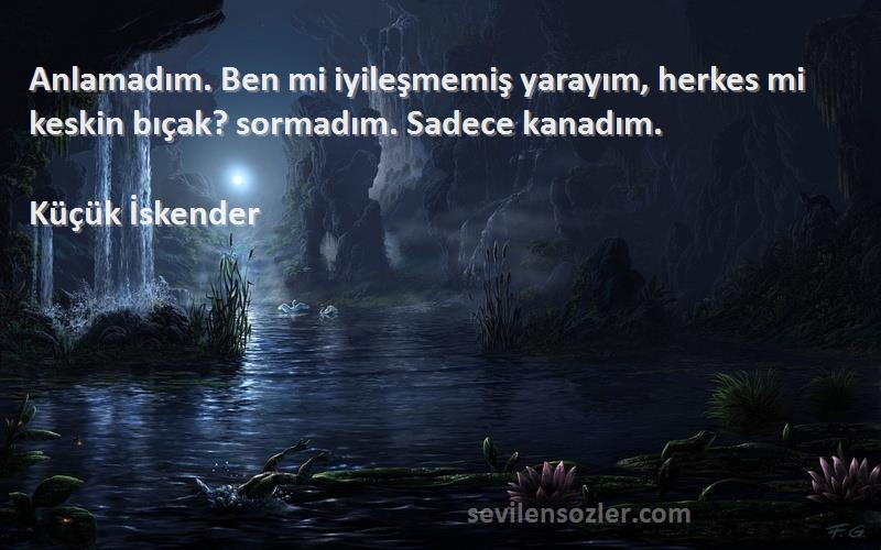 Küçük İskender Sözleri 
Anlamadım. Ben mi iyileşmemiş yarayım, herkes mi keskin bıçak? sormadım. Sadece kanadım.