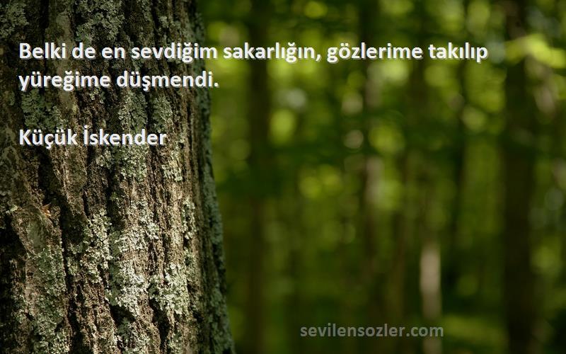 Küçük İskender - Belki de en sevdiğim sakarlığın, gözlerime takılıp yüreğime düşmendi.