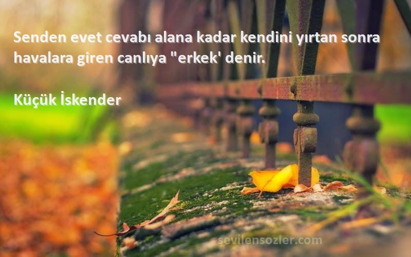 Küçük İskender - Senden evet cevabı alana kadar kendini yırtan sonra havalara giren canlıya erkek' denir.