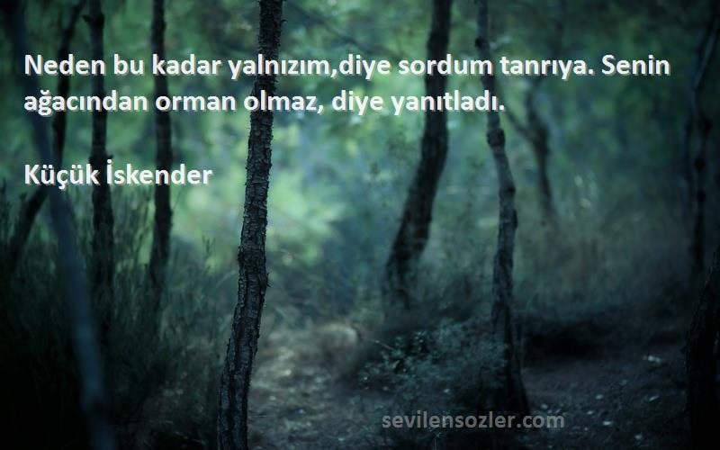 Küçük İskender - Neden bu kadar yalnızım,diye sordum tanrıya. Senin ağacından orman olmaz, diye yanıtladı.