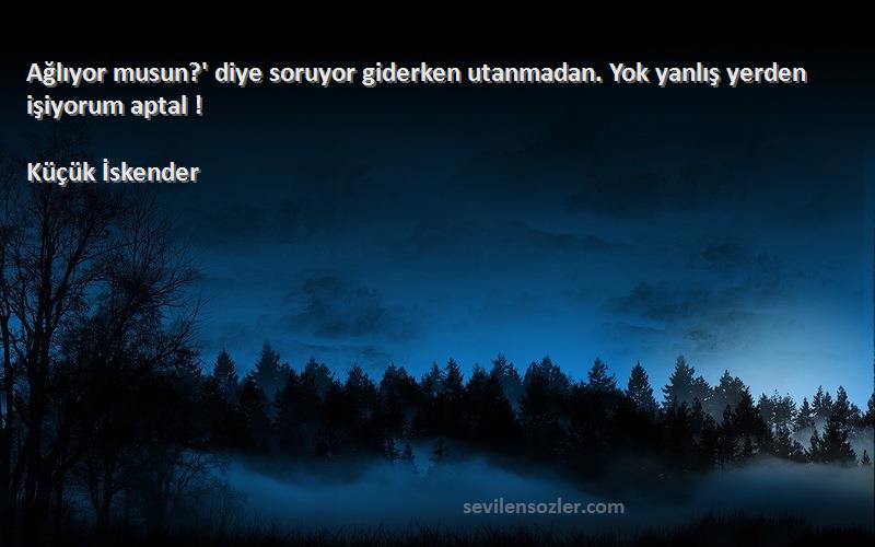 Küçük İskender Sözleri 
Ağlıyor musun?' diye soruyor giderken utanmadan. Yok yanlış yerden işiyorum aptal !