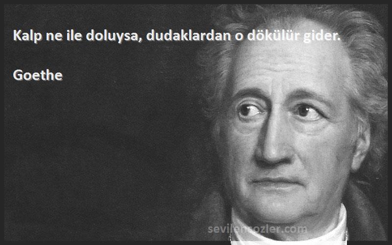 Goethe - Kalp ne ile doluysa, dudaklardan o dökülür gider.