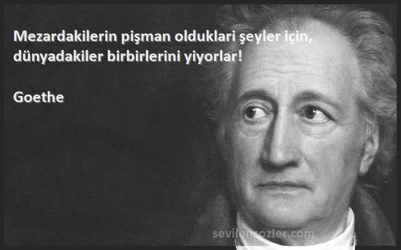 Goethe - Mezardakilerin pişman olduklari şeyler için, dünyadakiler birbirlerini yiyorlar!