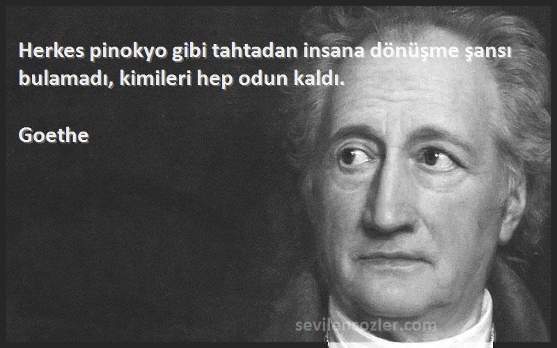 Goethe - Herkes pinokyo gibi tahtadan insana dönüşme şansı bulamadı, kimileri hep odun kaldı.