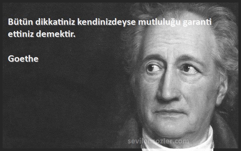 Goethe Sözleri 
Bütün dikkatiniz kendinizdeyse mutluluğu garanti ettiniz demektir.