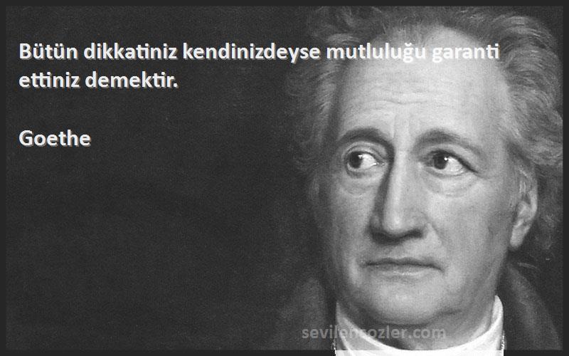 Goethe - Bütün dikkatiniz kendinizdeyse mutluluğu garanti ettiniz demektir.