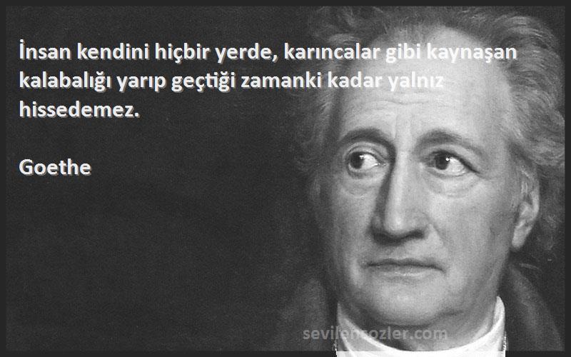 Goethe Sözleri 
İnsan kendini hiçbir yerde, karıncalar gibi kaynaşan kalabalığı yarıp geçtiği zamanki kadar yalnız hissedemez.