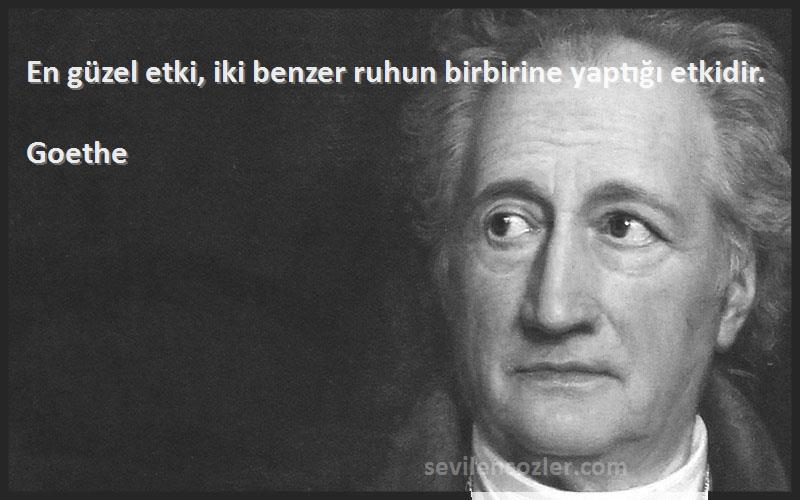 Goethe - En güzel etki, iki benzer ruhun birbirine yaptığı etkidir.