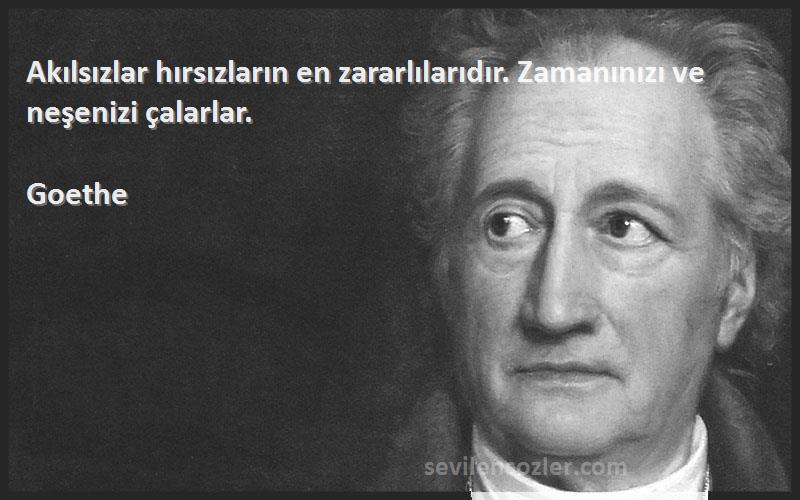 Goethe Sözleri 
Akılsızlar hırsızların en zararlılarıdır. Zamanınızı ve neşenizi çalarlar.