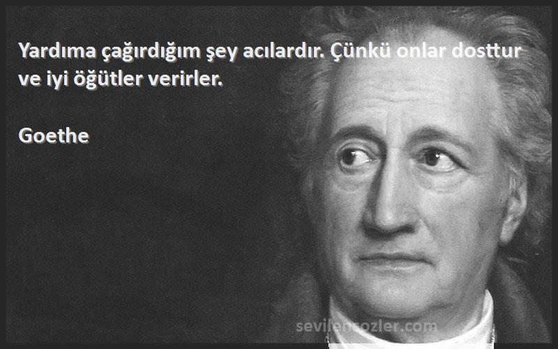 Goethe - Yardıma çağırdığım şey acılardır. Çünkü onlar dosttur ve iyi öğütler verirler.