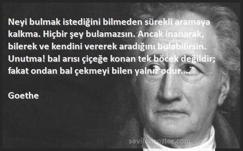 Goethe Sözleri 
Neyi bulmak istediğini bilmeden sürekli aramaya kalkma. Hiçbir şey bulamazsın. Ancak inanarak, bilerek ve kendini vererek aradığını bulabilirsin. Unutma! bal arısı çiçeğe konan tek böcek değildir; fakat ondan bal çekmeyi bilen yalnız odur….