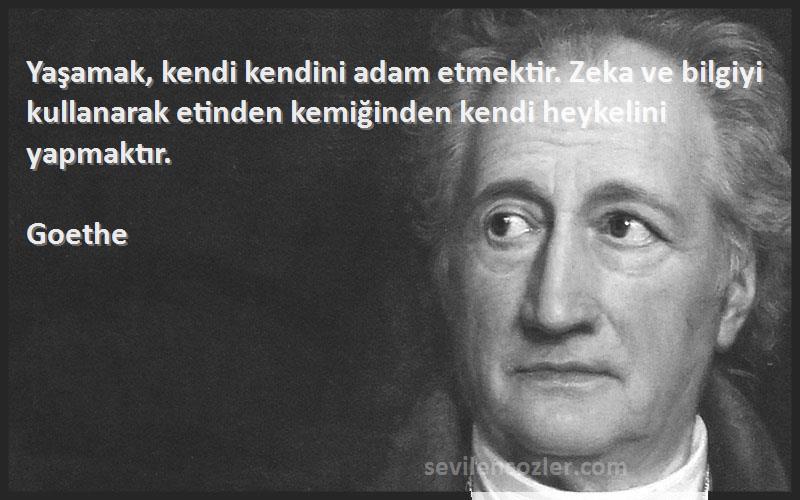 Goethe Sözleri 
Yaşamak, kendi kendini adam etmektir. Zeka ve bilgiyi kullanarak etinden kemiğinden kendi heykelini yapmaktır.