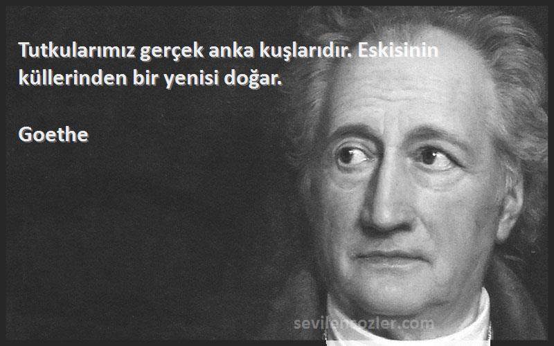 Goethe - Tutkularımız gerçek anka kuşlarıdır. Eskisinin küllerinden bir yenisi doğar.