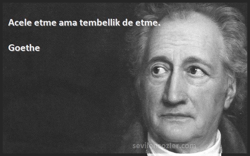 Goethe Sözleri 
Acele etme ama tembellik de etme.