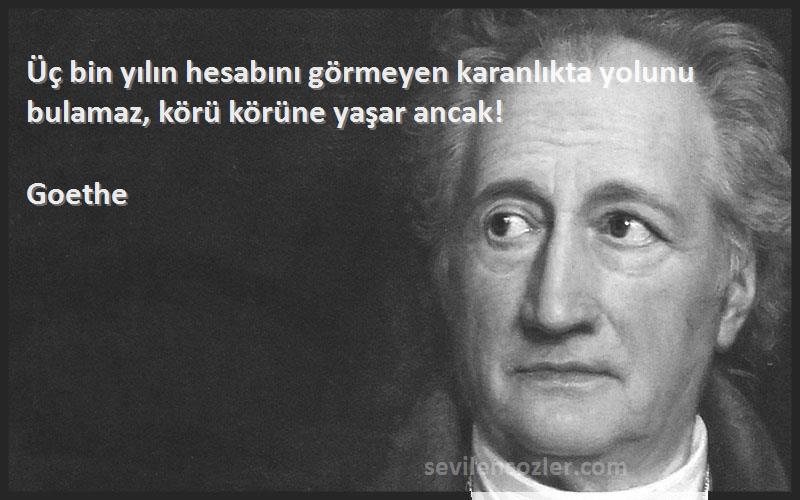 Goethe - Üç bin yılın hesabını görmeyen karanlıkta yolunu bulamaz, körü körüne yaşar ancak!