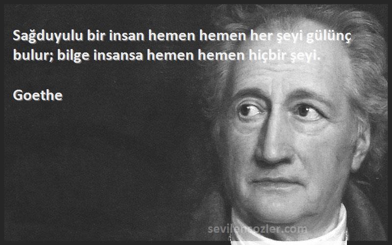 Goethe - Sağduyulu bir insan hemen hemen her şeyi gülünç bulur; bilge insansa hemen hemen hiçbir şeyi.
