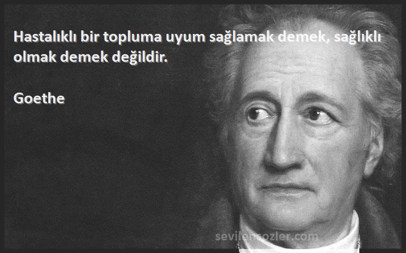Goethe - Hastalıklı bir topluma uyum sağlamak demek, sağlıklı olmak demek değildir.