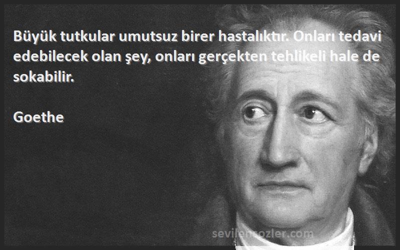 Goethe Sözleri 
Büyük tutkular umutsuz birer hastalıktır. Onları tedavi edebilecek olan şey, onları gerçekten tehlikeli hale de sokabilir.