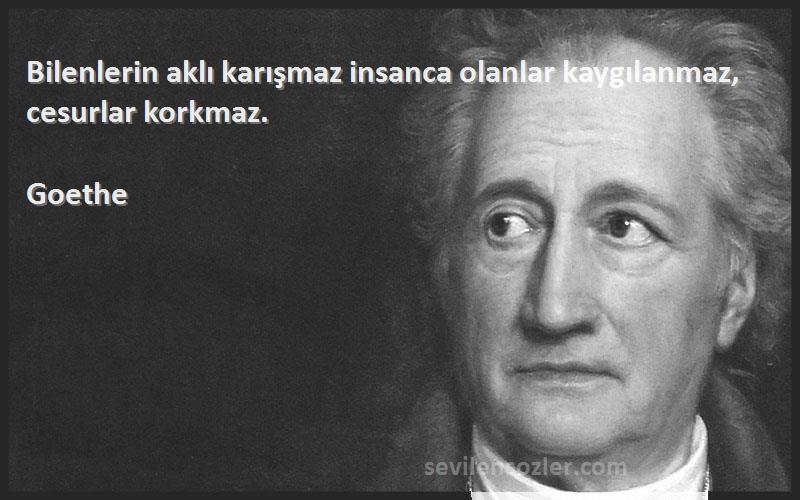 Goethe - Bilenlerin aklı karışmaz insanca olanlar kaygılanmaz, cesurlar korkmaz.