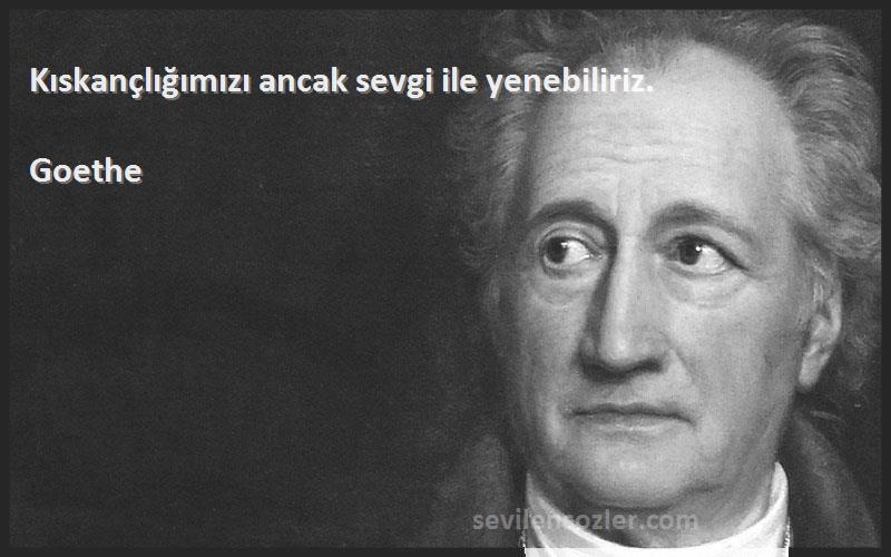 Goethe - Kıskançlığımızı ancak sevgi ile yenebiliriz.