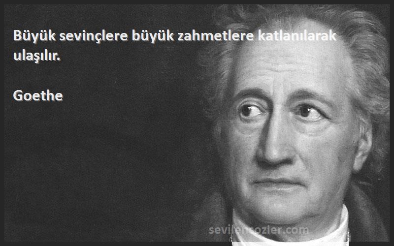 Goethe - Büyük sevinçlere büyük zahmetlere katlanılarak ulaşılır.