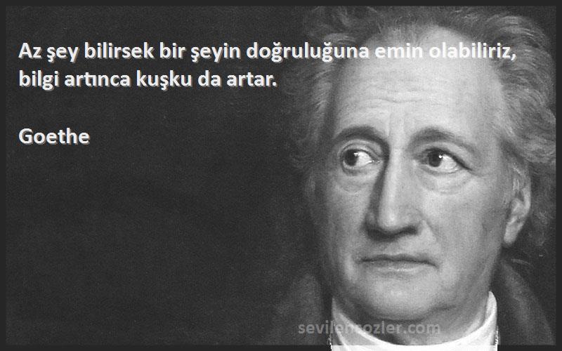 Goethe - Az şey bilirsek bir şeyin doğruluğuna emin olabiliriz, bilgi artınca kuşku da artar.