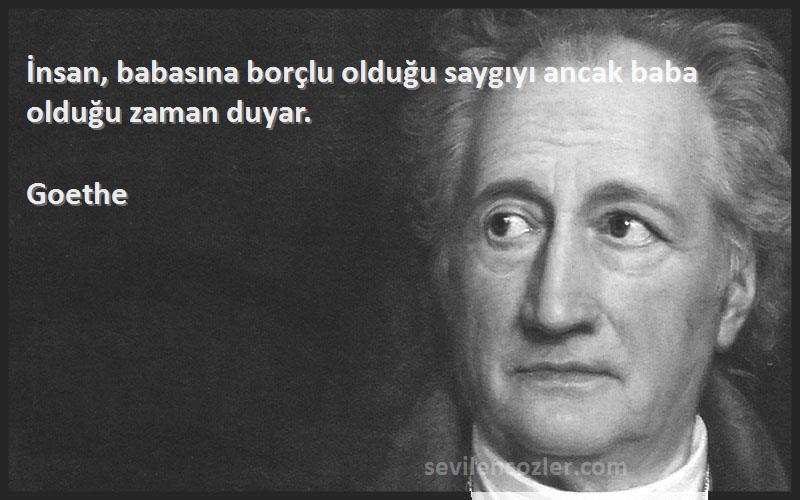 Goethe - İnsan, babasına borçlu olduğu saygıyı ancak baba olduğu zaman duyar.