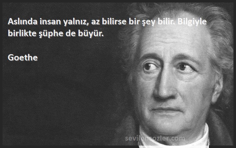 Goethe Sözleri 
Aslında insan yalnız, az bilirse bir şey bilir. Bilgiyle birlikte şüphe de büyür.