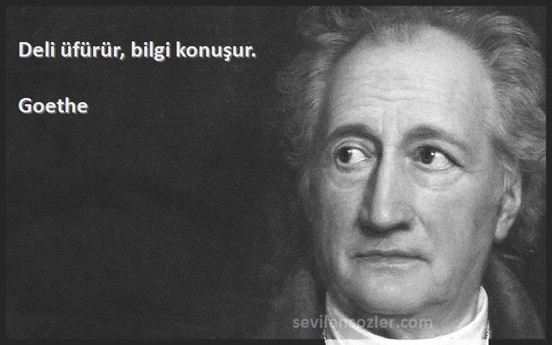 Goethe Sözleri 
Deli üfürür, bilgi konuşur.