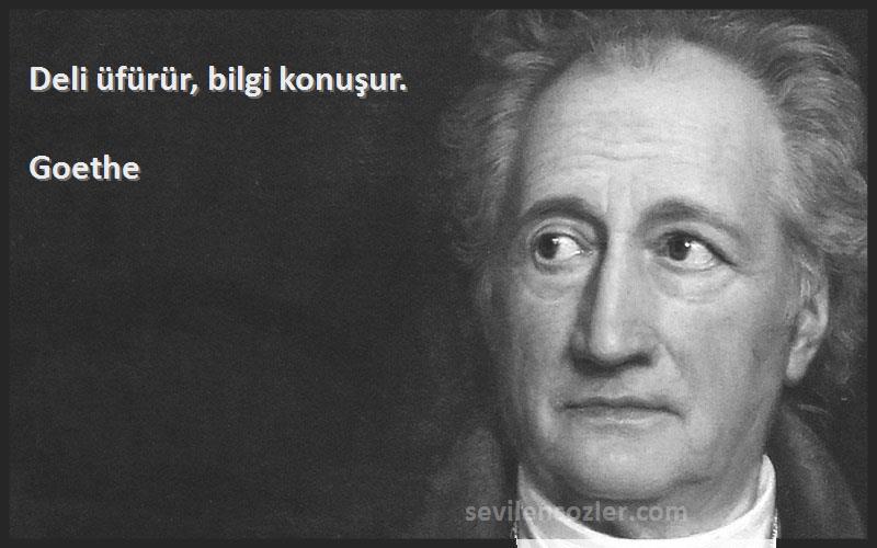 Goethe - Deli üfürür, bilgi konuşur.