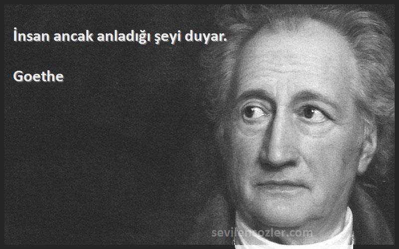 Goethe Sözleri 
İnsan ancak anladığı şeyi duyar.