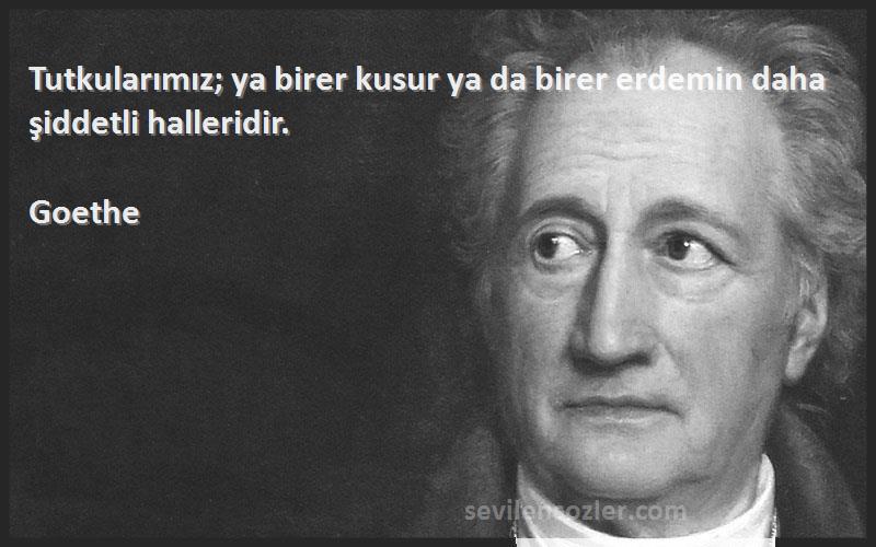 Goethe - Tutkularımız; ya birer kusur ya da birer erdemin daha şiddetli halleridir.