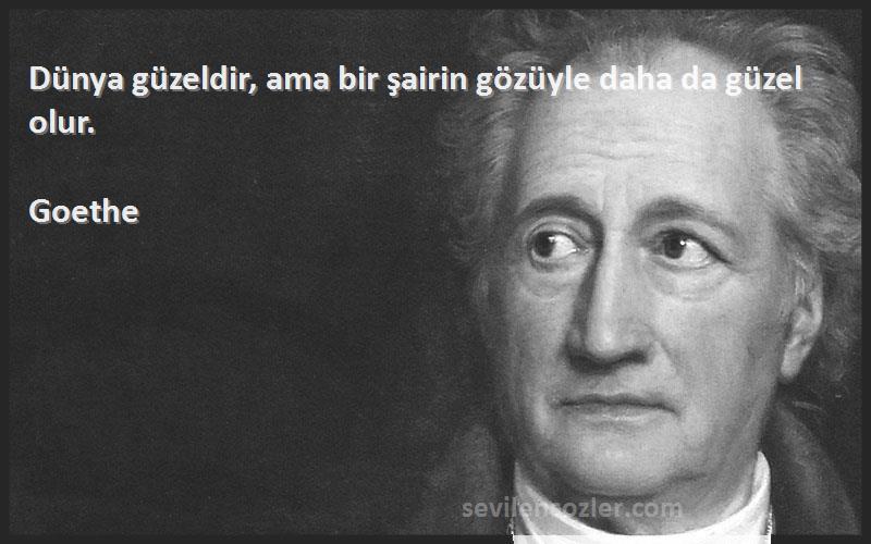 Goethe - Dünya güzeldir, ama bir şairin gözüyle daha da güzel olur.