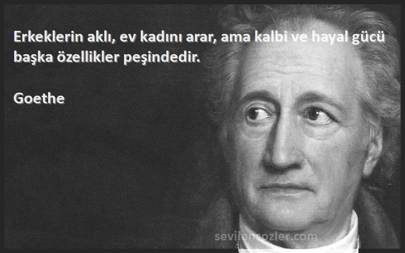Goethe - Erkeklerin aklı, ev kadını arar, ama kalbi ve hayal gücü başka özellikler peşindedir.