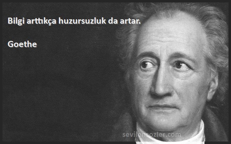 Goethe Sözleri 
Bilgi arttıkça huzursuzluk da artar.