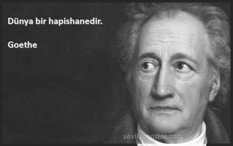 Goethe - Dünya bir hapishanedir.