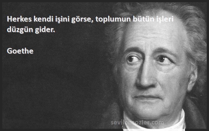 Goethe - Herkes kendi işini görse, toplumun bütün işleri düzgün gider.