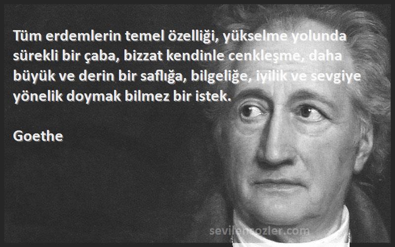 Goethe Sözleri 
Tüm erdemlerin temel özelliği, yükselme yolunda sürekli bir çaba, bizzat kendinle cenkleşme, daha büyük ve derin bir saflığa, bilgeliğe, iyilik ve sevgiye yönelik doymak bilmez bir istek.